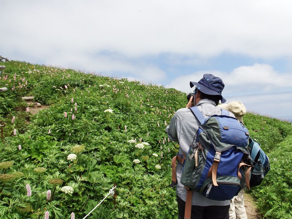 利尻・島ガイドセンターの写真1