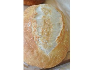 天然酵母パン教室の写真1