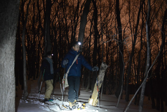 DISCOVERIESの写真1