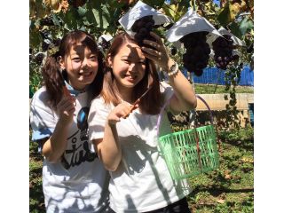 甲斐屋農場の写真1