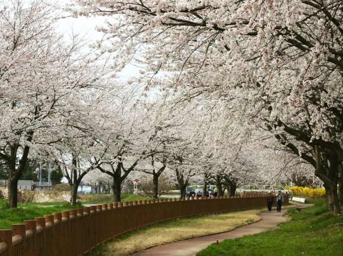 加治川治水記念公園の写真1