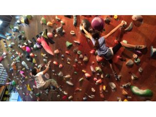 CRUX大阪の写真1