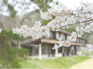 神戸三田アウトドアビレッジTEMILの写真1