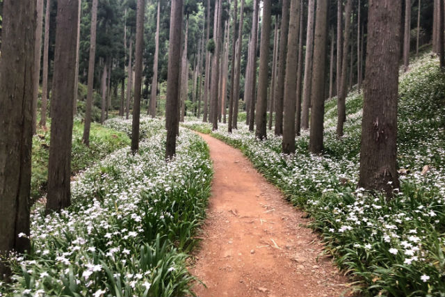 one-more-kyotoの写真1