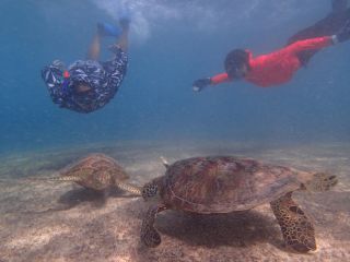 宮古島ふりーふりーの写真1