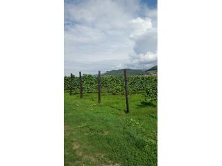 ゆっくりずむ　北海道の写真1