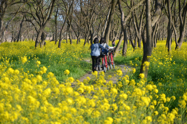 四万十市観光協会の写真1