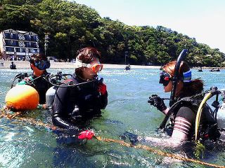 DivingShopLikklemoreの写真1