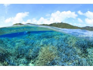 ダイビングショップホクレア湘南の写真1