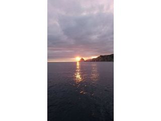 鷺浦渡船小国屋の写真1