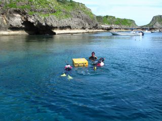 ピンクマーリンクラブの写真1