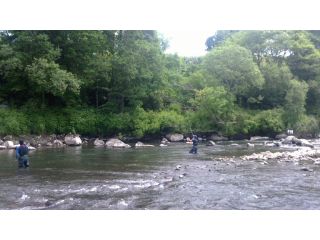 ニセコファインの写真1