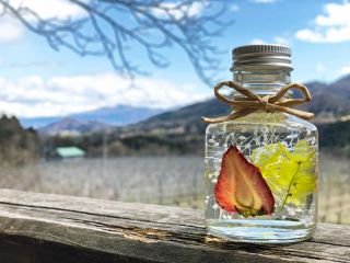 みなかみフルーツランドモギトーレの写真1