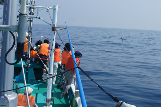 遊漁船 一吉丸の写真1