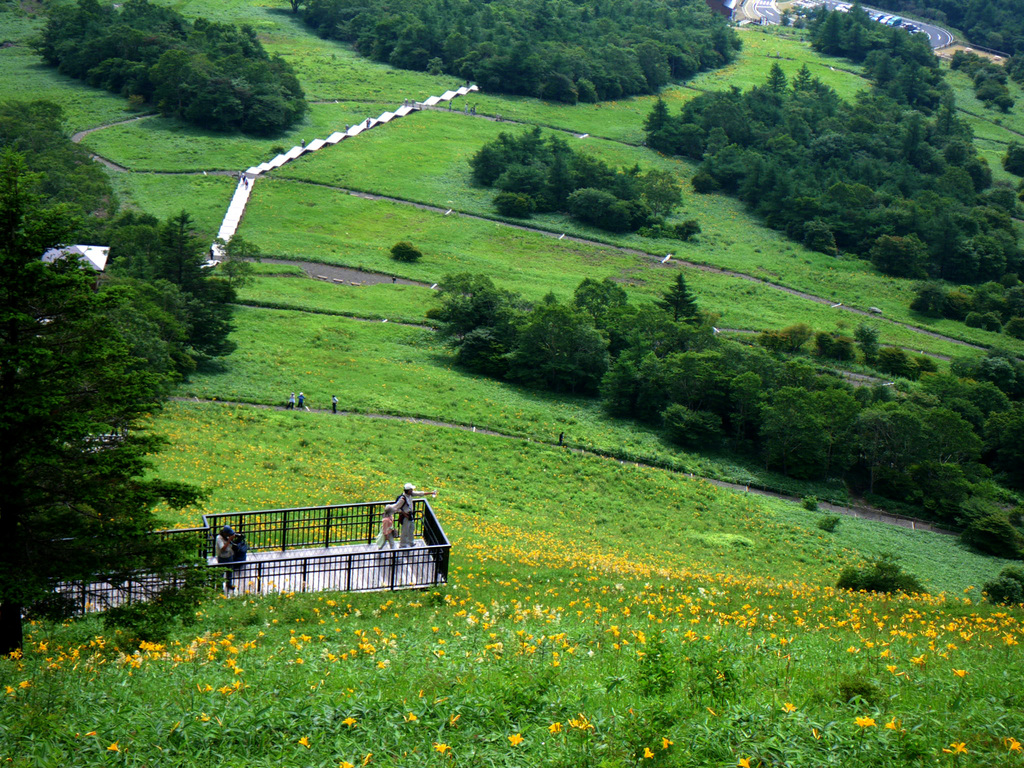 日光霧降高原キスゲ平園地の写真1
