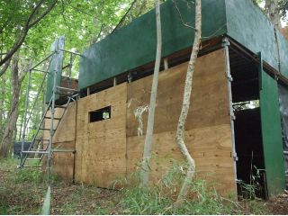 Easy Companyの写真1