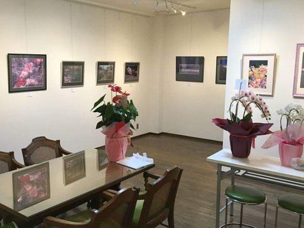 SZK GALLERYの写真1