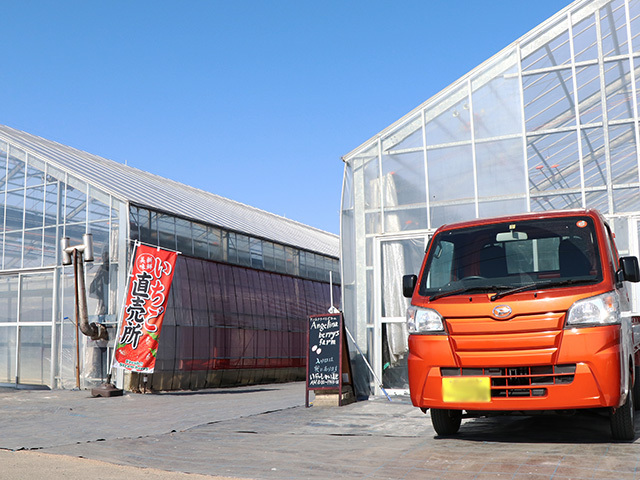 アンジェリーナ ベリーズ ファームの写真1