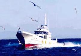 釣船 三昭丸の写真1