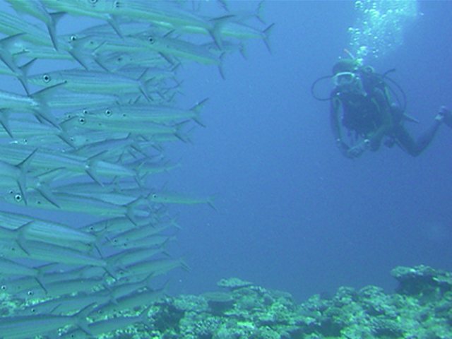 ラバーズラインの写真1