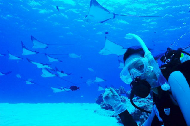 DIVECOLLEGE&SHOP エススタイルの写真1