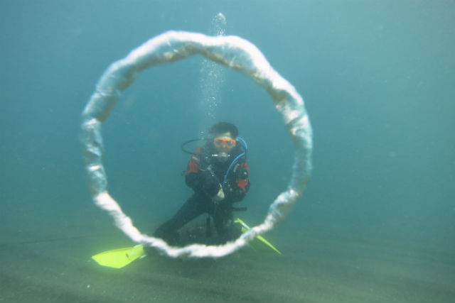 マリンズプロの写真1