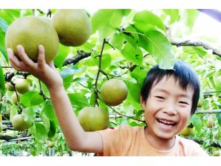 ありのみ倶楽部の写真1