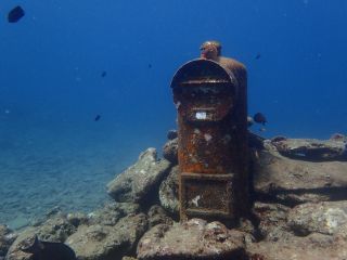 SUNNY DAYSの写真1