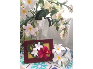 はなのうたの写真1