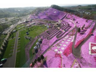 日本ヘリシス東藻琴芝桜ヘリコプタークルージングの写真1