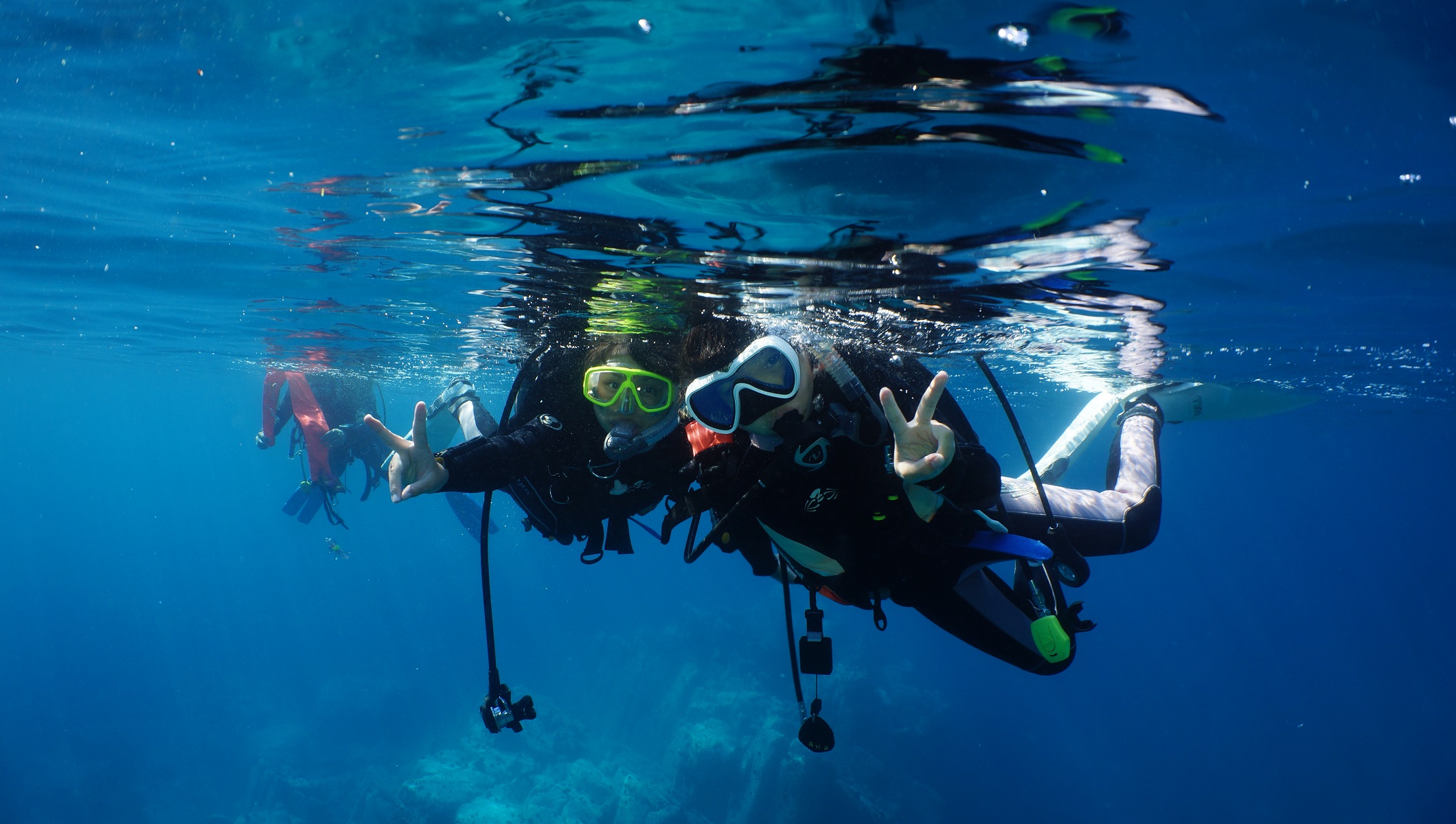 アクアキャット 札幌の写真1