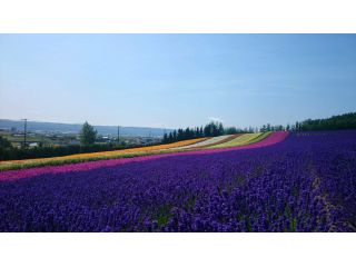 関口タクシーの写真1