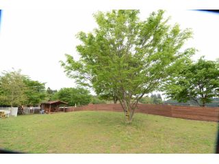 那須貸切ドッグラン&キャンピング ワンコが主役の写真1