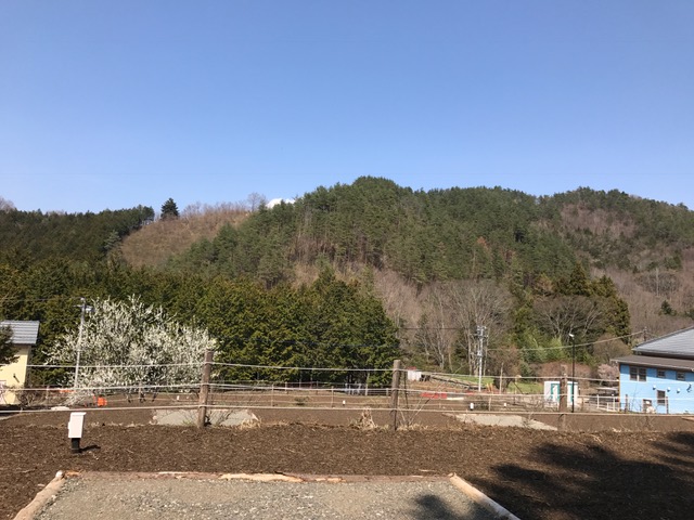 都留市戸沢の森和みの里キャンプ場の写真1