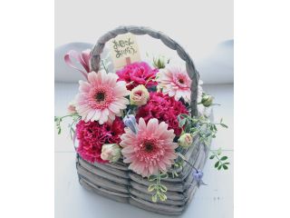 Snow drop〜スノードロップ〜の写真1