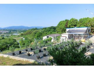 よしだフルーツファームの写真1