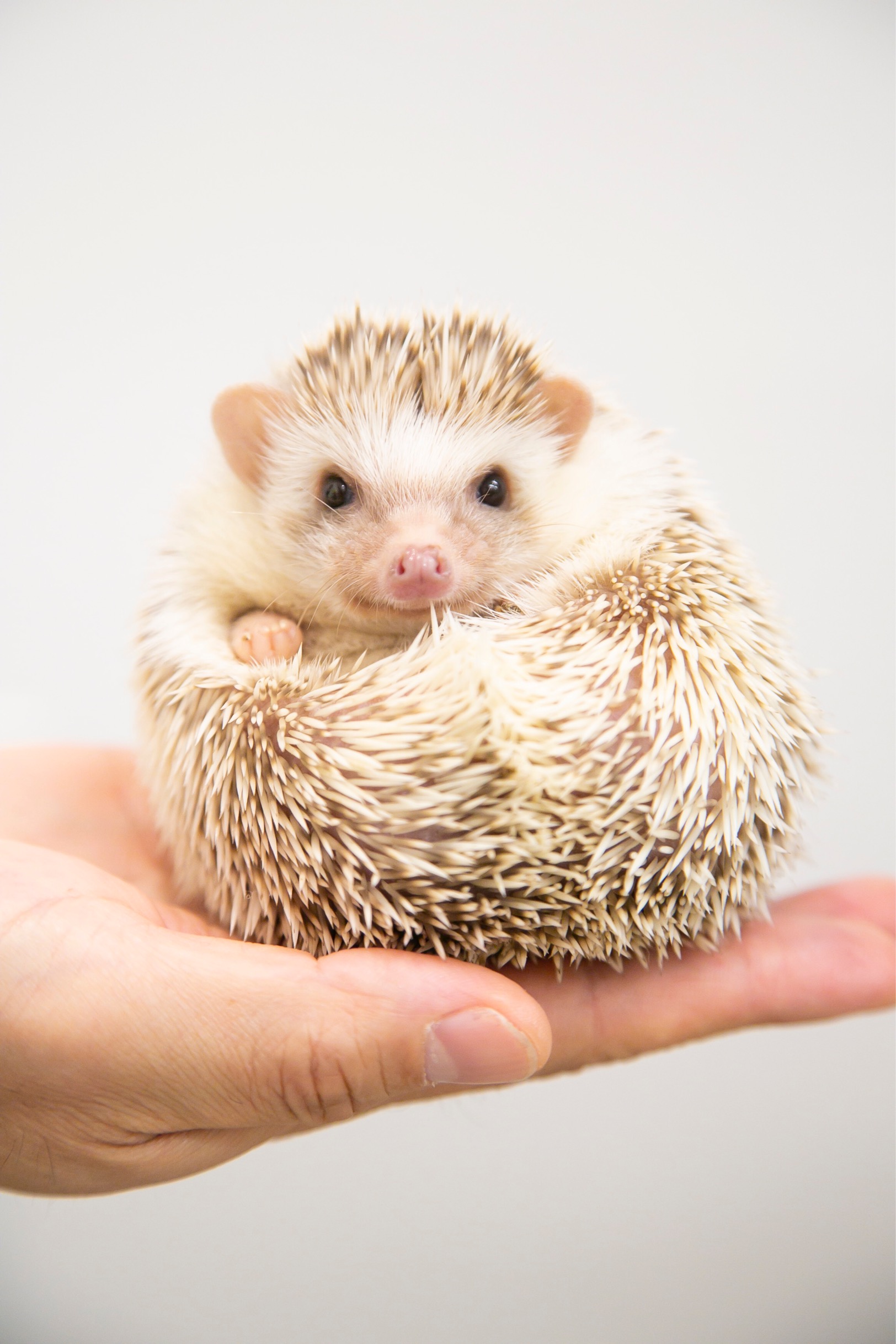 HARRYWOODなんば店の写真1