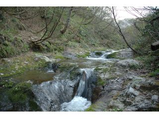 TABITAIKENネットの写真1