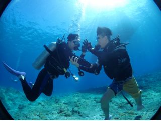 D.S.LEVIATHANの写真1