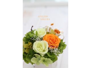 アトリエサクラ発寒教室の写真1