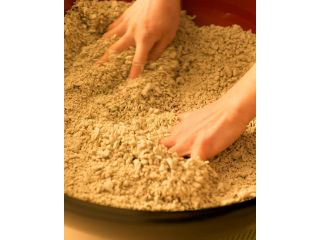 手打ちそば屋 庵の写真1