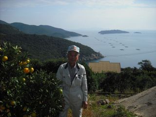 ペンションみかんの郷の写真1