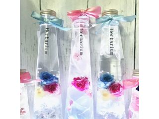 Tiara&Cocoの写真1