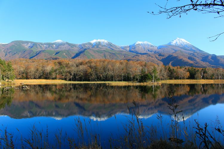 知床の森のガイド ゆらりの写真1