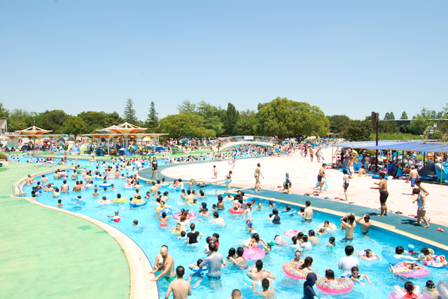 国営昭和記念公園 レインボープールの写真1
