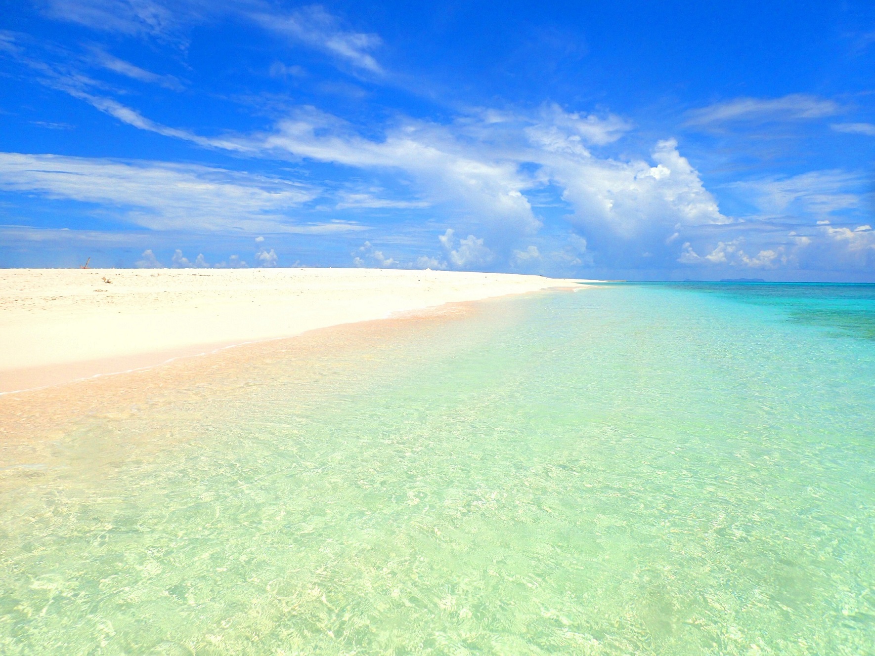 アイランドエキスパート 久米島の写真1