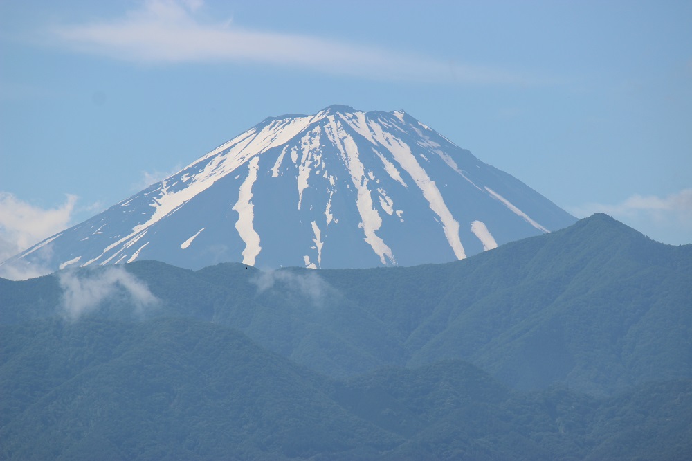 望月農園の写真1