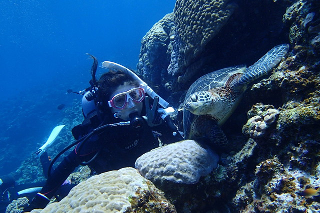 ブランニューシーの写真1