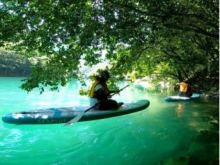 アンリーシュの写真1