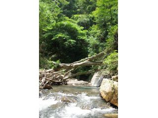 特定非営利活動法人森人くらぶの写真1